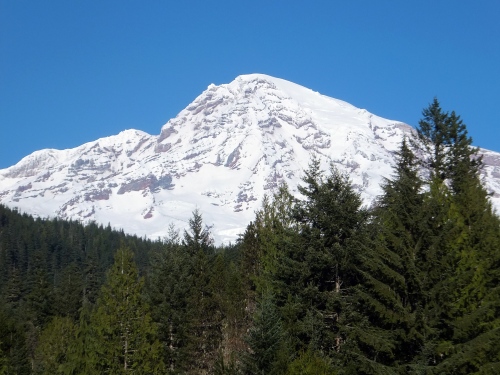 Ranier from the lodge